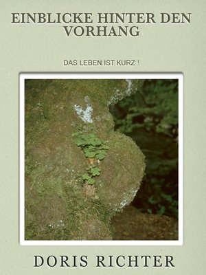 cover image of Einblicke hinter den Vorhang